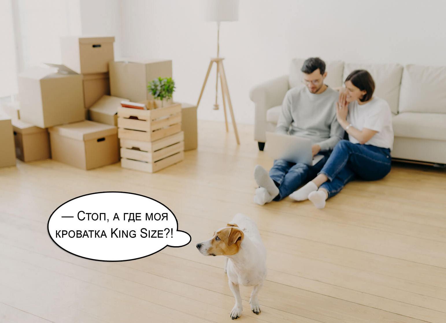 Как я отдавала старый диван бесплатно